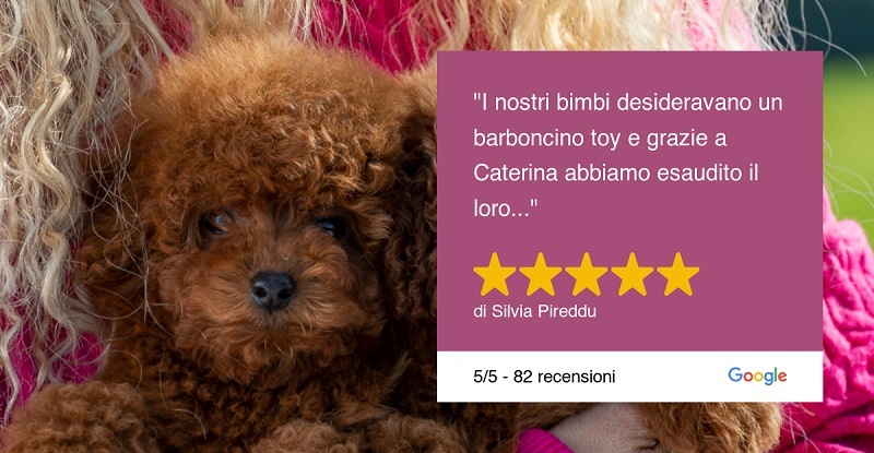 cuccioli recensione