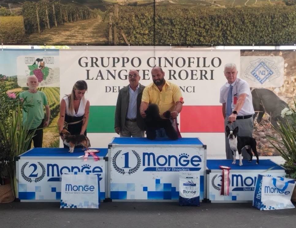 Campione Barbone