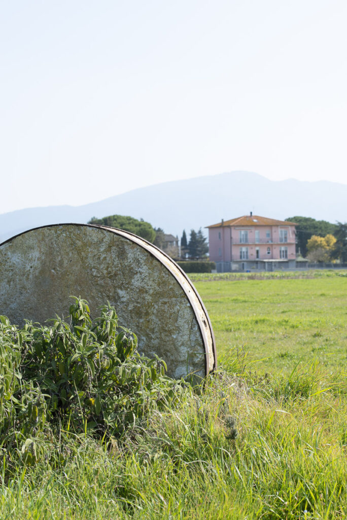 Allevamento Toscana