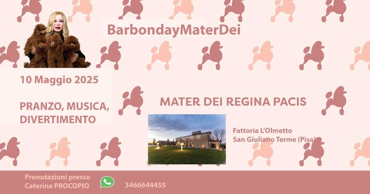 Raduno barboncino