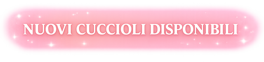 Cuccioli disponibili